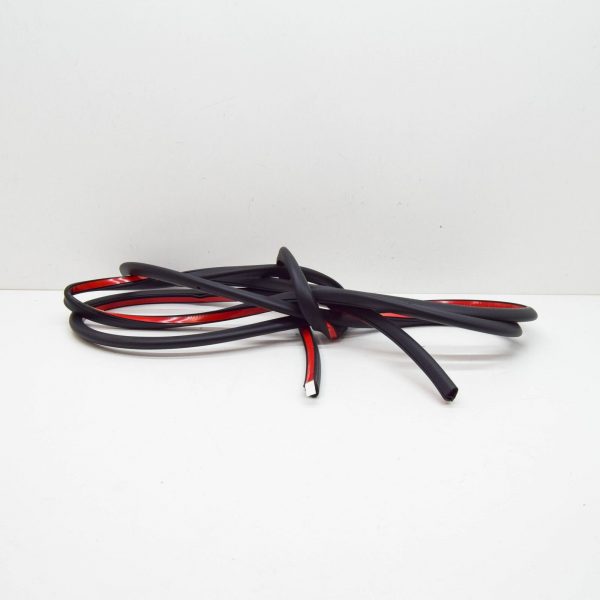 RANGE ROVER EVOQUE L538 Rear left Outer Door Seal LR026458
