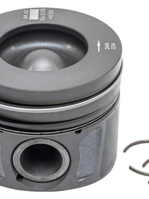 Piston & Ring Set