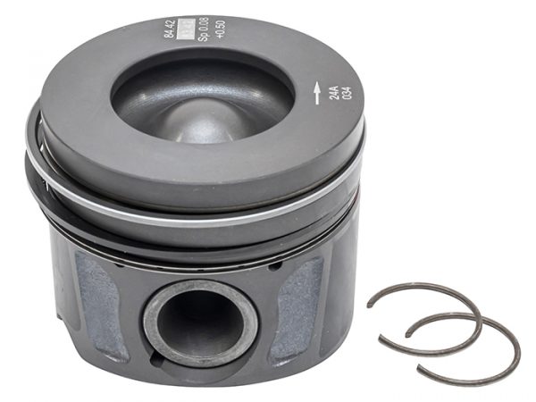 Piston & Ring Set