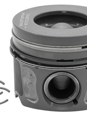 Piston & Ring Set