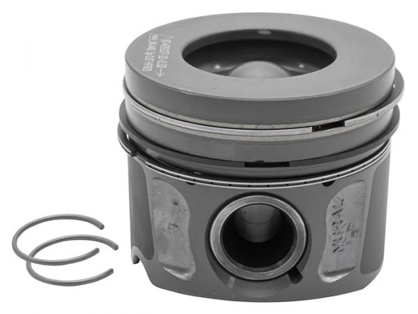 Piston & Ring Set