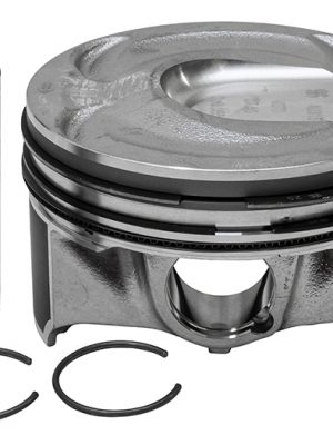Piston & Ring Set