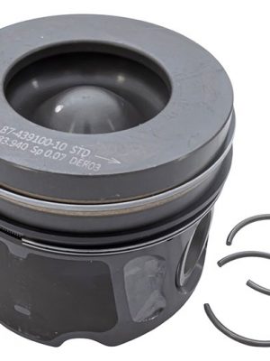 Piston & Ring Set