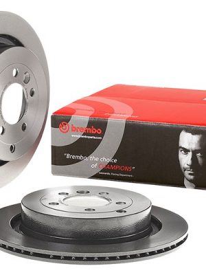 Brembo Discs