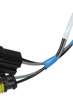 Fog & Reverse Wiring Loom