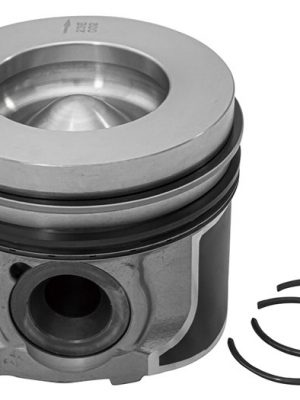 Piston & Ring Set
