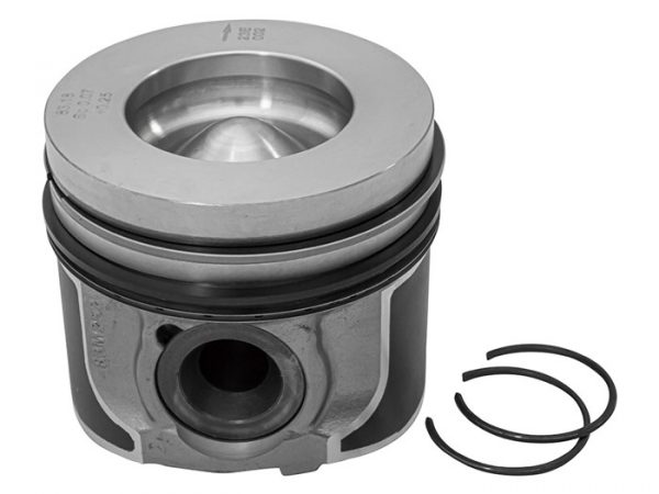 Piston & Ring Set