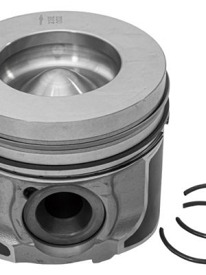 Piston & Ring Set