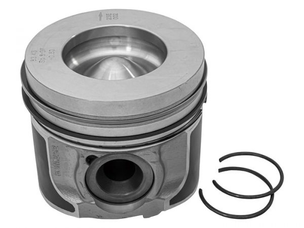 Piston & Ring Set