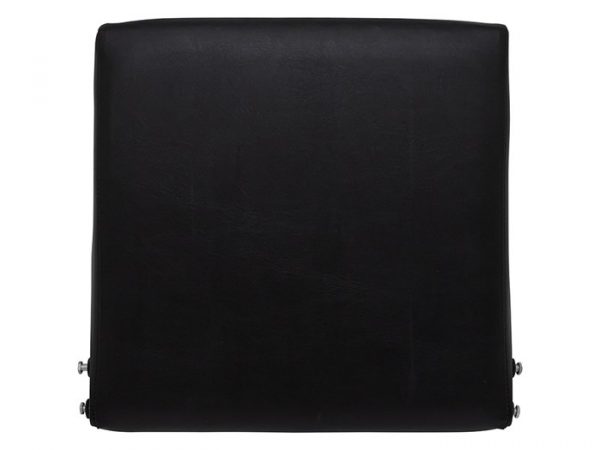 Seat Back