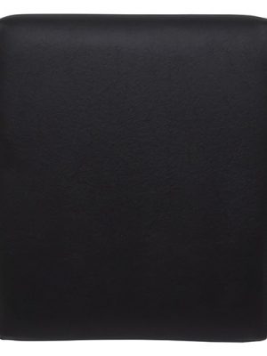 Seat Back