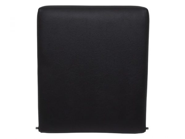 Seat Back
