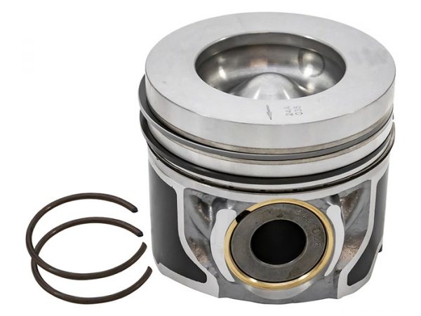 Piston & Ring Set