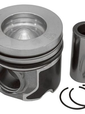 Piston & Ring Set