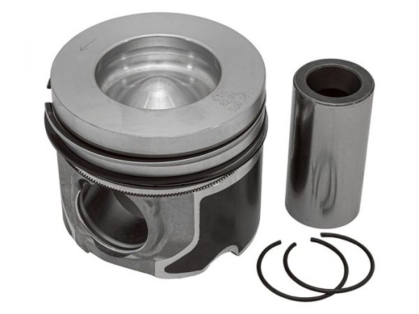 Piston & Ring Set