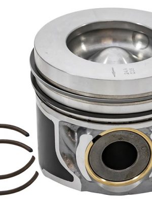 Piston & Ring Set