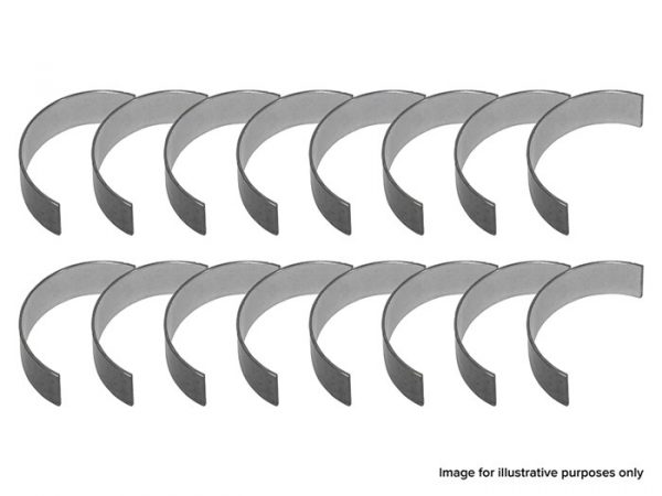 Main & Thruster Bearing Set