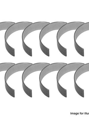 Main & Thruster Bearing Set