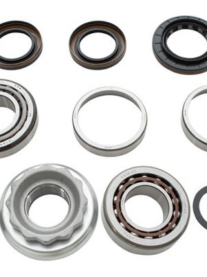 Rear Diff Overhaul Kit