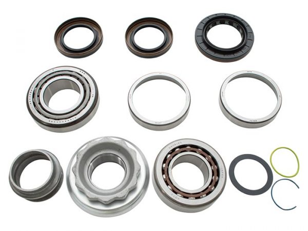 Rear Diff Overhaul Kit