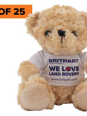 5" Britpart Teddy Bears