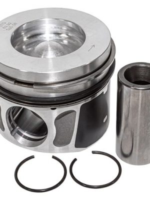 Piston & Ring Set