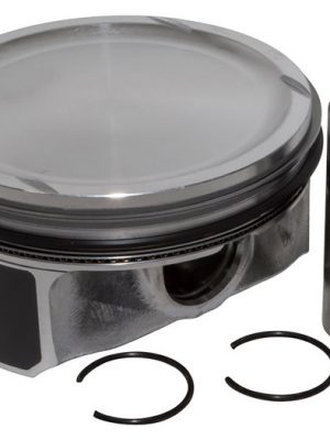 Piston & Ring Set