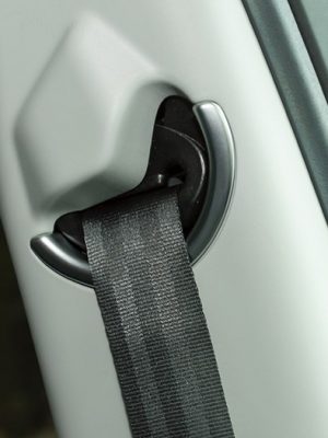 Seatbelt Cover Trim