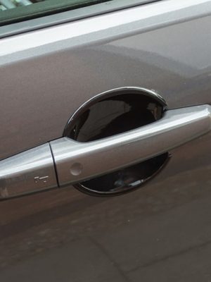 Door Bowl Trim