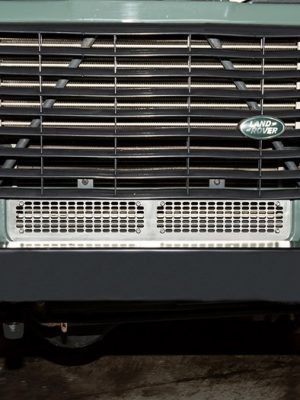 Lower Front Grille