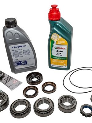 OEM Full Rear Diff Pinion Bearing Overhaul Kit