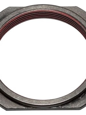 Hex Nut