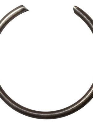 Circlip