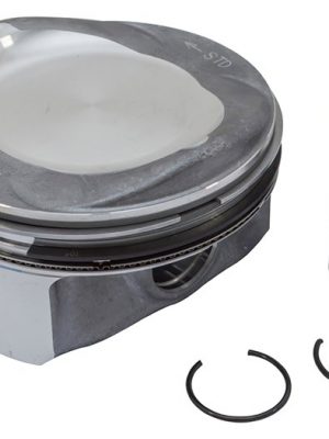 Piston & Ring Set