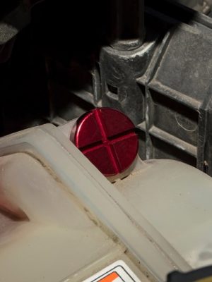 Bleed Screw
