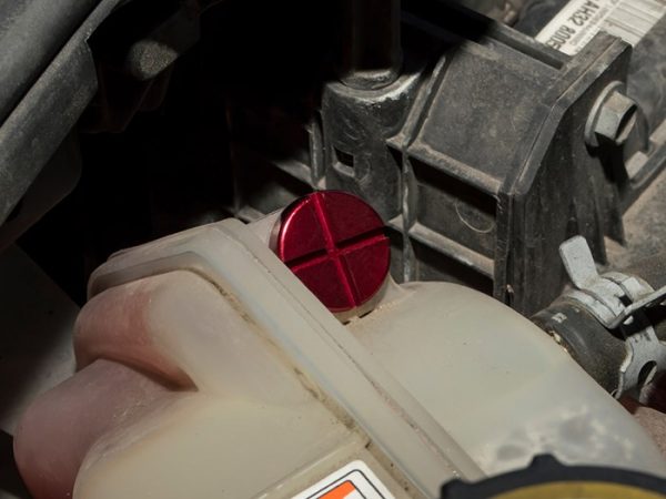 Bleed Screw