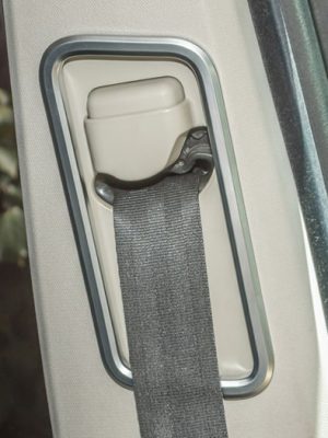 Safety Belt Frame Trim