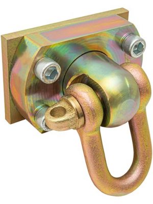 Swivel Shackle