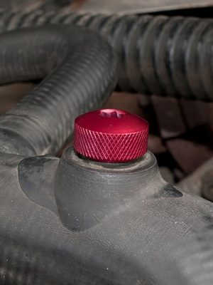 Bleed Screw