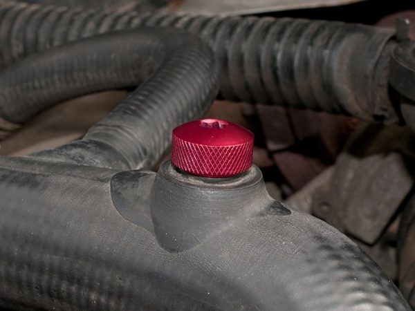 Bleed Screw