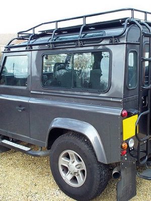 Roof Access Ladder