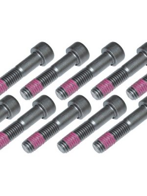 Replacement Drive Flange Bolt Set (x10)  Defender 90/110  DA1128
