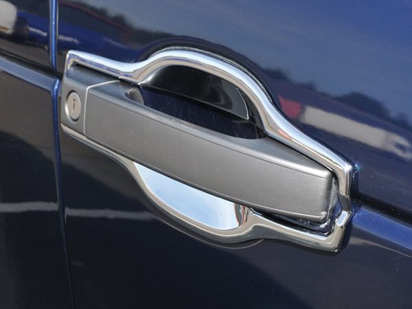Door Handle Surround