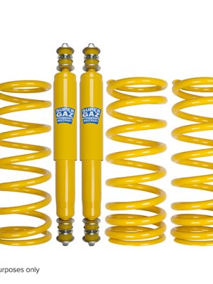 Shock Absorber & Spring Kit