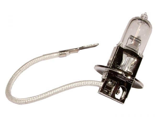 Replacement 100 Watt Bulb