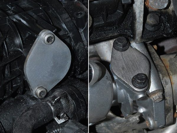 EGR Blanking Kit