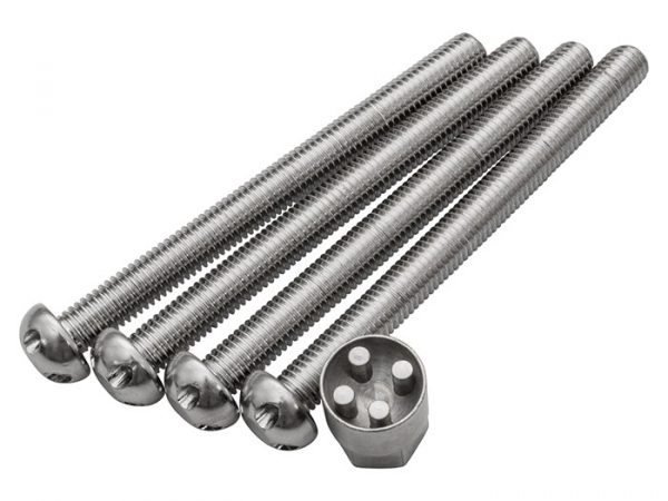 Stainless Steel Tamperproof Bolt Set (M10 x 110) Qty: 4 - DA7333