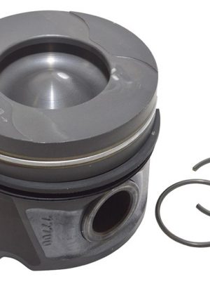Piston & Ring Set
