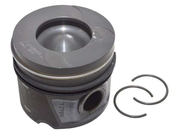 Piston & Ring Set