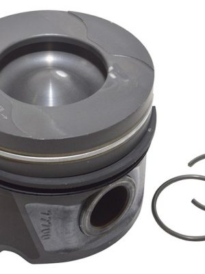 Piston & Ring Set